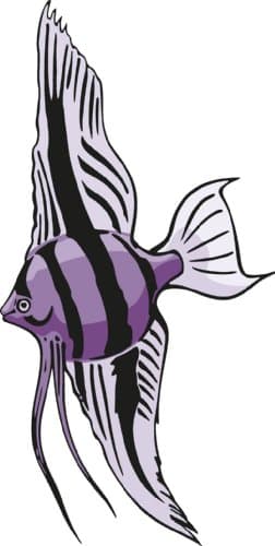 Fish Scalar Beautiful Stickers 10 x 19 cm Decorated Wall, Window, Mirror, Car, Laptop, Furniture etc.