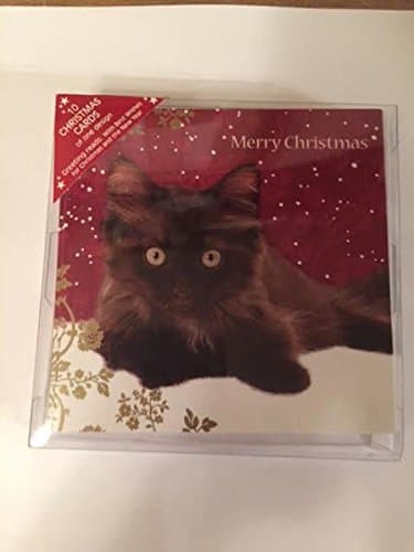 'Christmas Kitten' Chocolate fluffy persian cross kitten cat 10 pack of Small Xmas cards