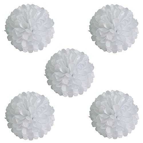 Prochive Tissue Flower Tissue Hanging paper Pom Poms, Paper Flower Ball ,White Tissue Flower Ball Wedding Party Decorations, Outdoor Decoration, for Christmas Weddings, Birthday, Craft, 5 pcs