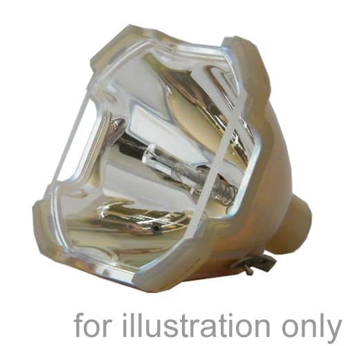 SUPERLAMPS Replacement Bulb for TOSHIBA TLPLP6 - TOSHIBA TDP-P6
