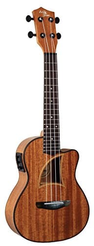 Eddy FinnEF-9 EF-9-CE Ukulele