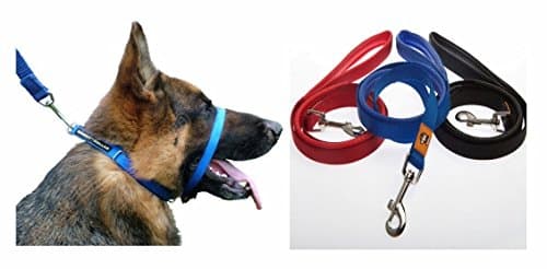 Canny Collar Blue with matching 15mm standard lead (4)