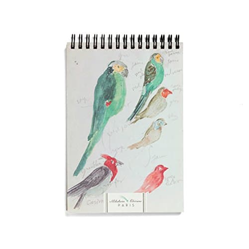 Alibabette Editions Paris Les Perroquets Spiral Notebook, 100 Pages, 8 by 5.25" (SPI1005)