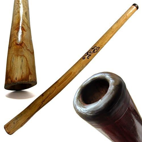 World Percussion USA Eucalyptus Yellowbox Didgeridoo, Beeswax Mouthpiece - 52" Long - Hand Finished- Key of C-E