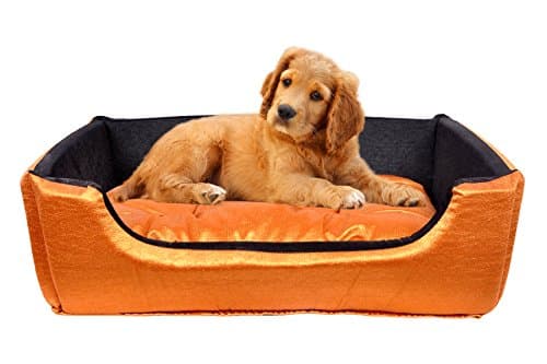 Moodmax Ultra Soft Highly Durable (Rectangular) Velvet Sofa-Style Bed for Dogs and Cats