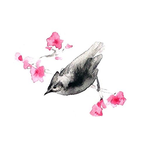 Hand Signed Limited Edition PRINT - Watercolor Bird Print with Pink Cherry Blossom from Original Animal Painting - 5 x 5 inches - Miniature Art - Birds