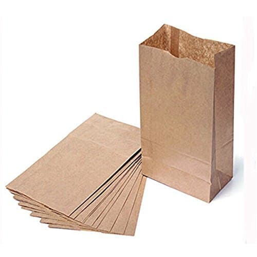 The Young® Large 10 Brown Kraft Paper Gift Bags Brown Paper Bags (Large 10)