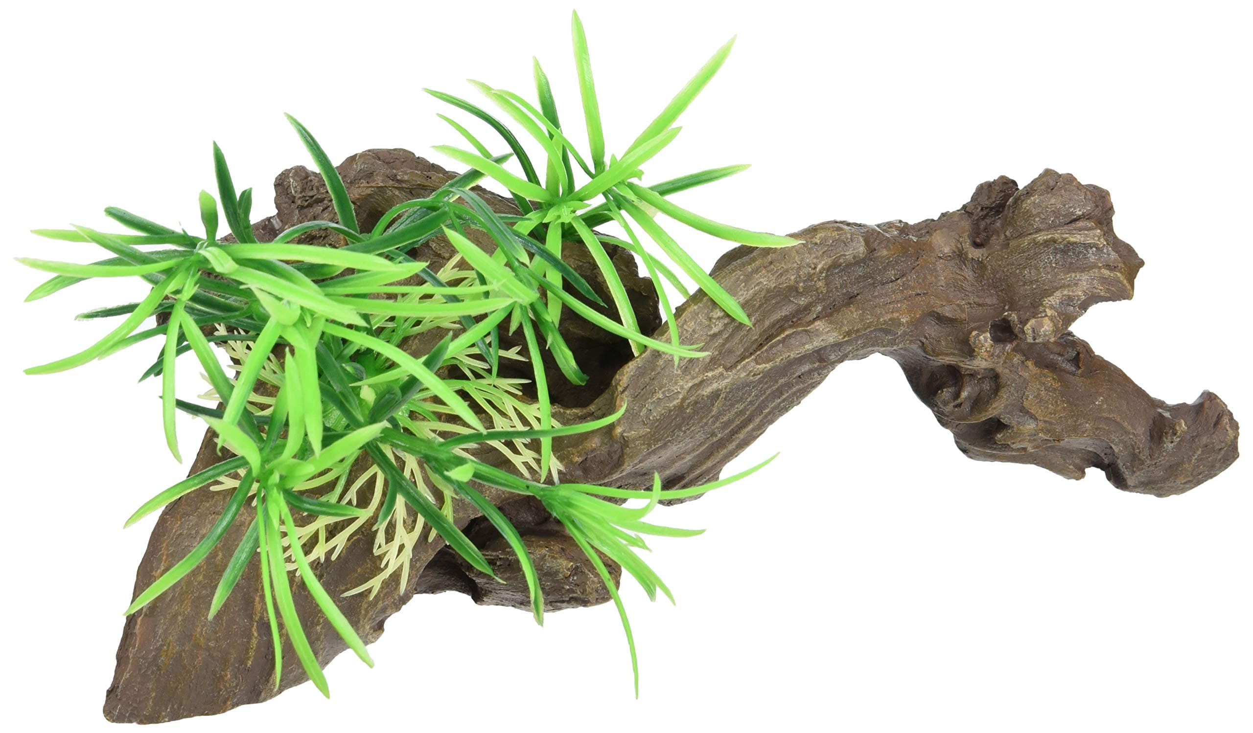 Lucky Reptile FW 5 Forest Wood Congo