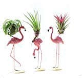 Air Plant Container, Tabletop Planter, Tillandsia Planter, Pink Flamingo Holder for Indoor Garden, Office Desk, Home Décor. (Style B)