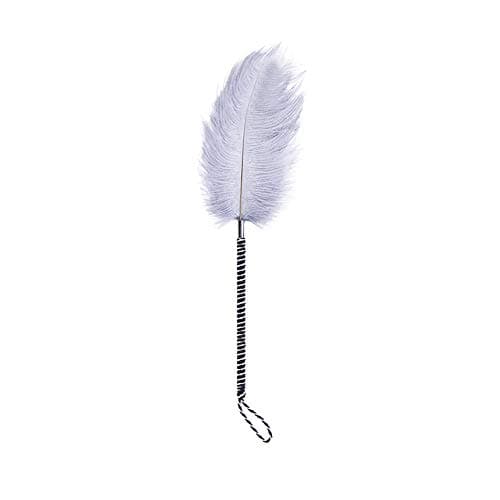 Overvl Flirt Tease Tickle Feather Stick for Adult Couples Game,White