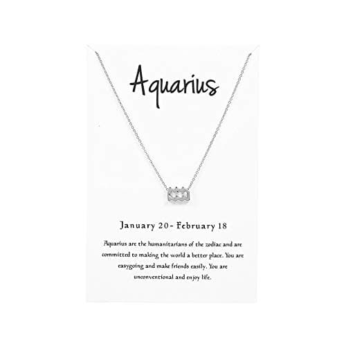 Kambear 12 Constellation Pendant Necklace Zodiac Sign Astrology Silver Tone Chain Message Card Women Jewelry