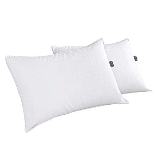 Dreamhood White Goose Feather and Down Pillows Queen Size, Set of 2