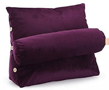 Lumbar Support, Multi-Purpose Cushion, Ergonomic Pillow (Small, Violet)