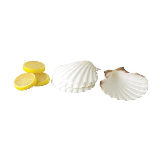 Maine Man Natural Baking Shells, 4-Inches, Set of 4, Natural Seashell