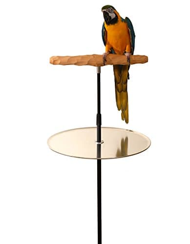 Parrot Training Perch Stand with Potty Tray (T Perch, XXL)