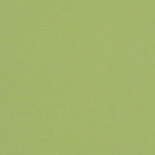 SunbrellaCanvas Gingko #54011 Indoor / Outdoor Upholstery Fabric by Sunbrella - BambooMN