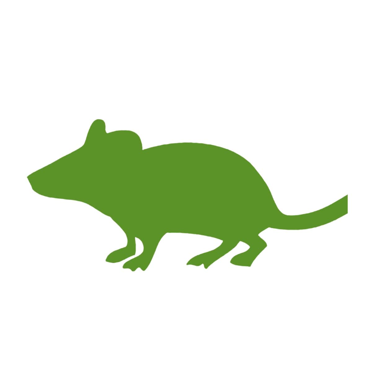 Swell Reptiles 10 Pack of 1g Frozen Mice Pinkies. Outstanding Snake Food