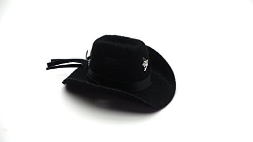 Carolina Designer Dragons' Bearded Dragon Cowboy Hat