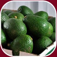 24 Fresh California Hass Avocados
