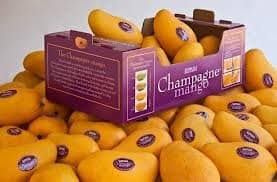 Fresh Champagne Mangoes (Golden Atulfo) - 5 Pounds