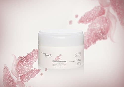 Linha Plant (Revitalizacao Pos Quimica) Natura - Mascara Intensa Para cabelos Danificados 250 Gr - (Natura Plant (Post Treatment Restoration) Collection - Damaged Hair Mascara Net 8.81 Oz)