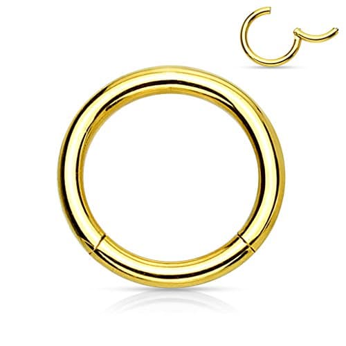 Hinged Seamless WildKlass Jewely Septum Clicker Ring 316L Surgical Steel (Sold Individually) (16g 9mm Gold)