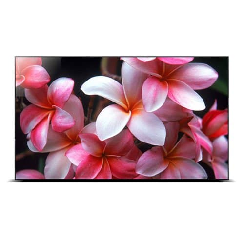 RNK46SNF 46-Inch Commercial Grade LCD Monitor (Black)