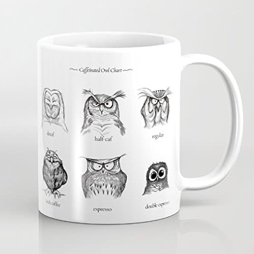 Custom Coffee Mug With Funny Word-Caffeinated Owls 11OZ White Mug Ceramic Tea Cup