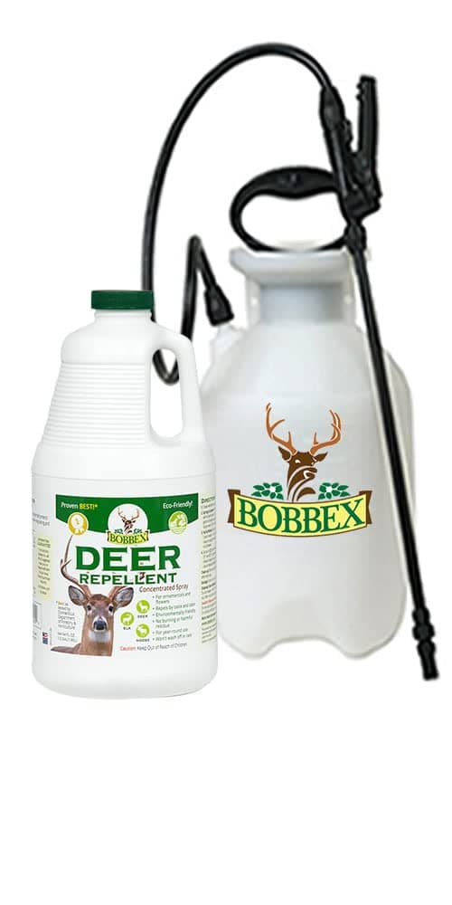 Bobbex Deer Repellent Half Gallon Concentrate and Gallon Pump Sprayer with Hose Sprayer (9)