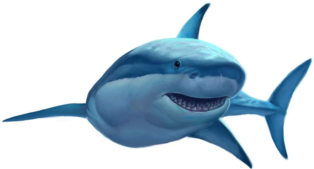 Great White Shark Wall Decal, Kids Wall Decals & Children's Room Murals Instant Decor for Baby Nursery, Boys, Girls, Unisex,Teens