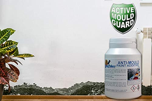 Kingfisher Anti-Mould Paint Additive 120g