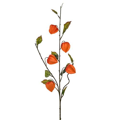 Faux Chinese Lantern Stem (Set of 3)