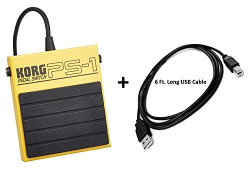 KORG PS-1 Control Pedal Switch For Korg Keyboards KROME 61 73 88, KROSS, KingKORG, microKORG XL, microKEY 2, microKEY Air (USB Cable Included). SHIPS FAST! (From Magik Fulfillment)