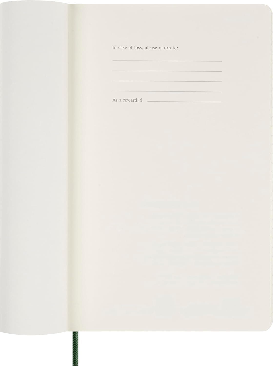 Moleskine Daily Planner, 12-Month Daily Agenda 2025, Soft Cover and Elastic Closure, Myrtle Green Color, Large Format 13x21 cm