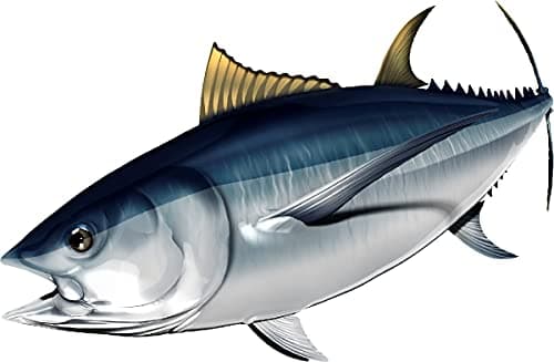 Albacore Tuna Beautiful Fish Decal | Fishing Decal for Boat, Car, Vehicle, Truck Etc. | Waterproof Vinyl Sticker | Many Sizes & Styles Available | 12" to 40" by Digital Fish Art (Small, Position 4)