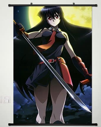 Wall Scroll Poster Fabric Painting for Anime Akame 028 S