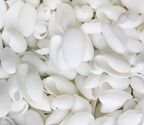 White Bubble Shells .5-1" | 40 pcs.