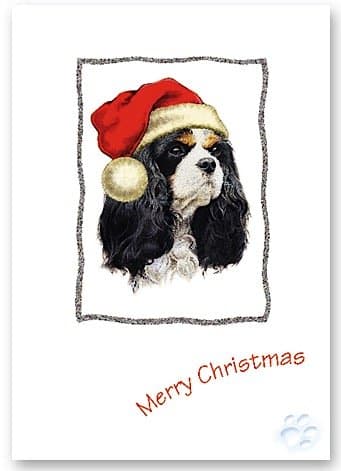 Cavalier Tri Christmas Card - Simply Dogs Xmas cards collection