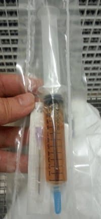 Mushroom Man LLC, White Oyster - Pleurotus ostreatus Mushroom Liquid Culture