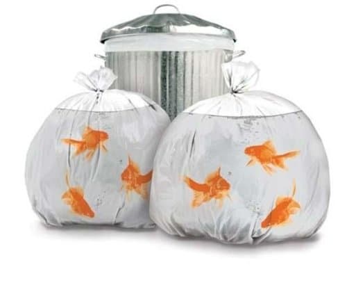 Suck UK Goldfish Bin Bags