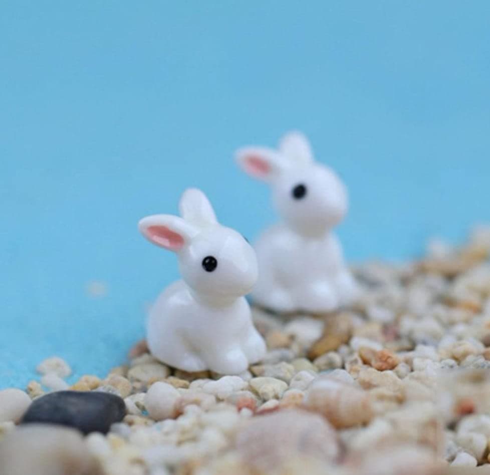 Elevate Collection Miniature White Bunny, Mini Rabbits, Bonsai Home Décor, Miniature Garden décor, Fairy Garden(Set of 5 pcs)
