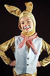 World Book Day-Easter-Beatrix Potter-Peter Rabbit BRER RABBIT COSTUME SET Perfect for Fancy Dress - All Ages (3-4 years)