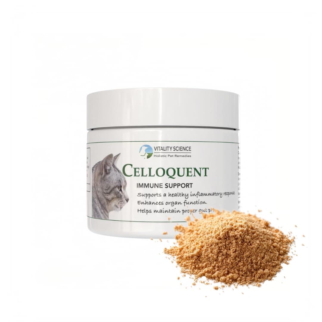 Vitality Science - Celloquent for Cats, Enhances Immune Support, Maintain Proper Gut PH and Healthy Inflammatory Response, 120g