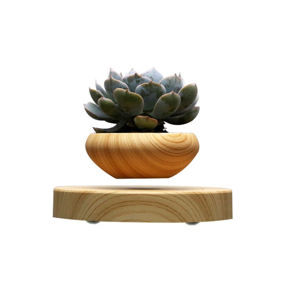 Levitating Bonsai Pot for Floating Air Plants Home Office Decoration and Gift