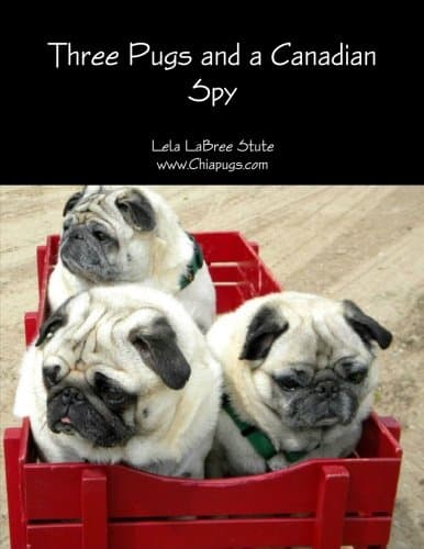 Three Pugs and a Canadian Spy