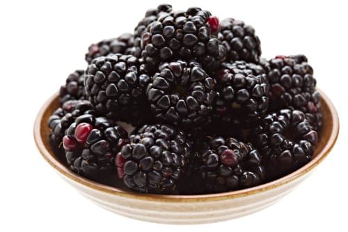 Northwest Wild Foods Fresh Frozen Boysenberries - Healthy Antioxidants Fruit Diet - for Smoothies Pies Jams (4.5 lb)
