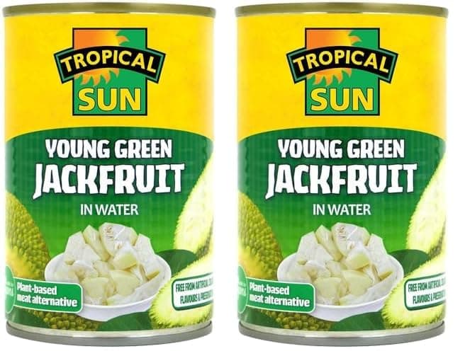 Tropical Sun Young Green Jackfruit in Water, 400g (Pack of 2)