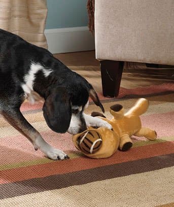 Big Mouth Dog Toy with 3 Balls