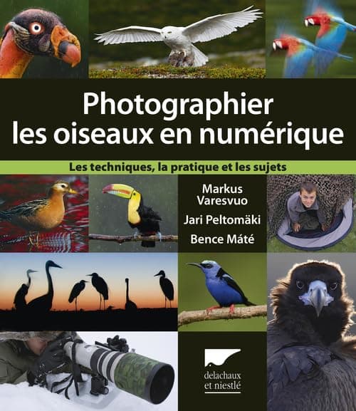 Photographier les oiseaux en numérique: Les techniques, la pratique et les sujets