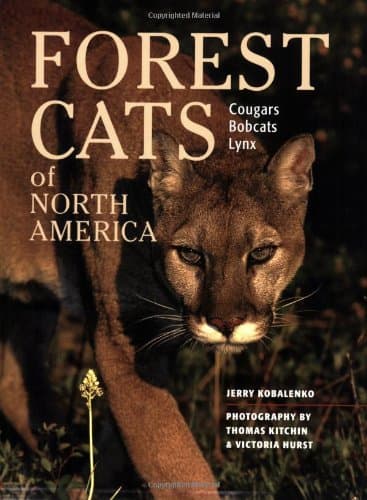 Forest Cats of North America